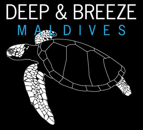 T-shirt-portfolio-15 T-shirt-portfolio-15