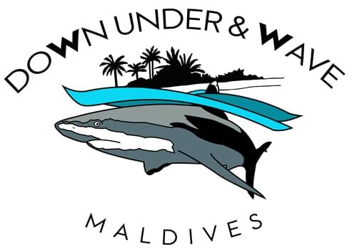 T-shirt-portfolio-18 T-shirt-portfolio-18