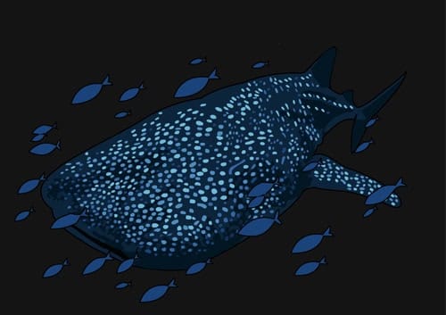 T-shirt-portfolio-2 T-shirt-portfolio-2