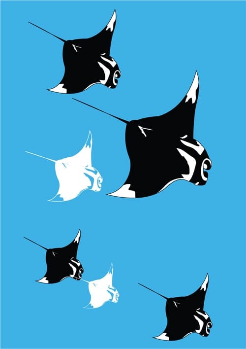 T-shirt-portfolio-4 T-shirt-portfolio-4