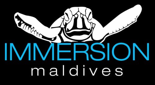 T-shirt-portfolio-7 T-shirt-portfolio-7