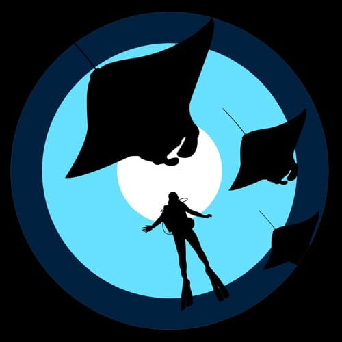 T-shirt-portfolio-9 T-shirt-portfolio-9